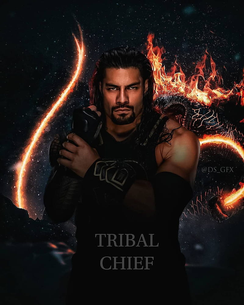 Roman Reigns, main event reigns, paul heyman, samoan lion, show up and win, the head of the table, the tribal chief, wreak everyone and leave, HD phone wallpaper