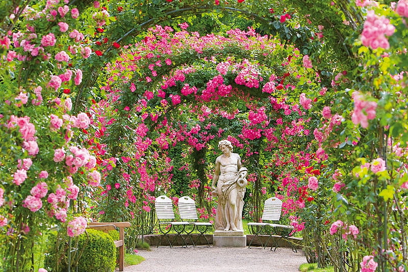 Rose Garden in Baden-Baden, Germany, rosebows, flowers, roses, sculpture, HD wallpaper