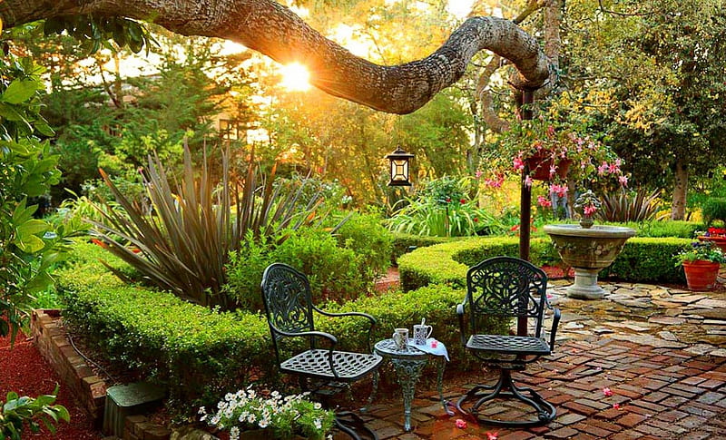 Morning coffee in the garden, pretty, sunny, shine, bonito, bushes, nice, flowers, morning, light, table, lovely, sunlight, greenery, delight, park, trees, alleys, pleasant, rays, coffee, summer, blossoms, garden, flowering, nature, blooming, HD wallpaper