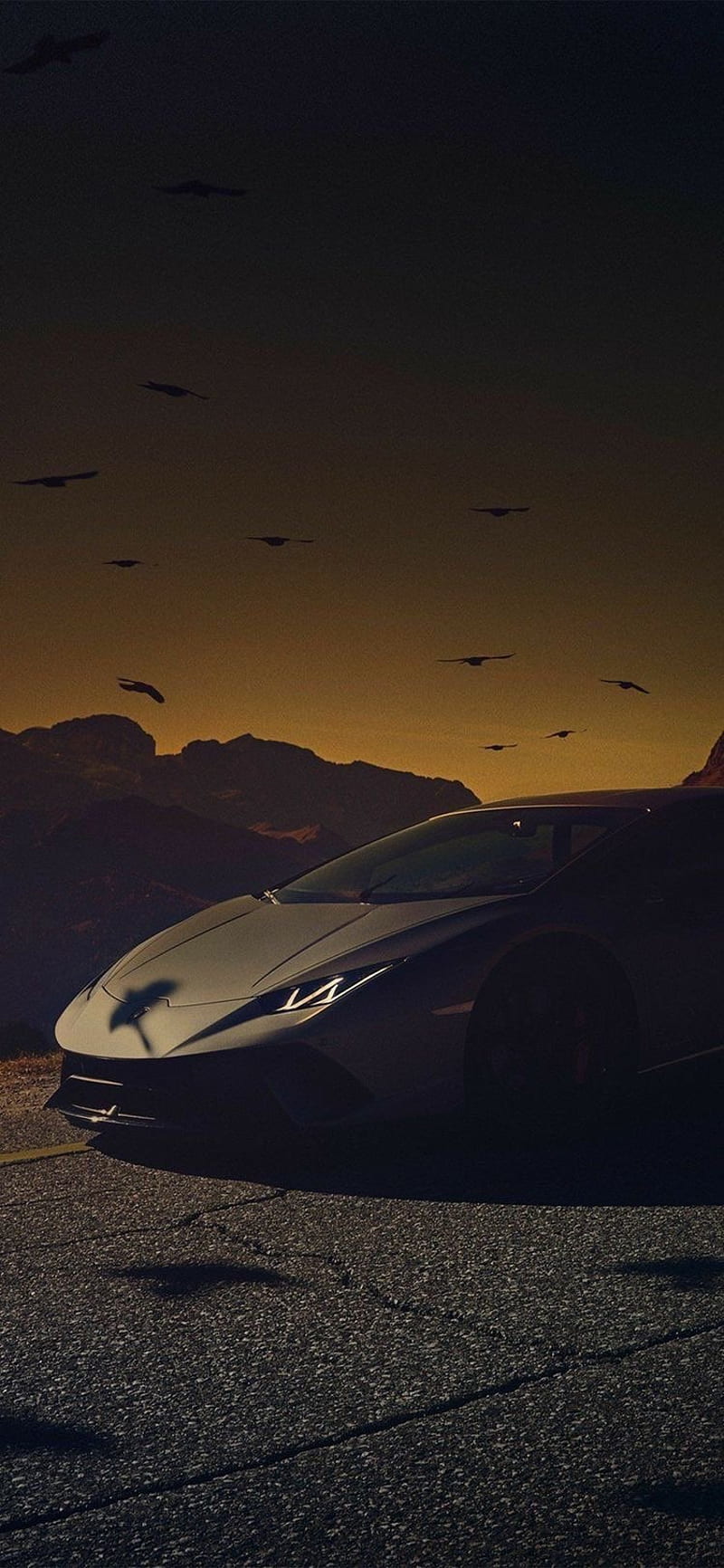 Lamborghini car, air, car, carros, horizon, lamborghini, logo, sports car, sunset, super car, transport, HD phone wallpaper