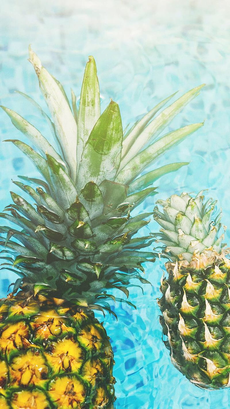 Free download Cute Pineapple Quotes iPhone Wallpaper 2020 3D iPhone  Wallpaper 745x1080 for your Desktop Mobile  Tablet  Explore 32 Wallpaper  Pineapple  Pineapple Wallpaper Patterns Pineapple Express Wallpaper  Pineapple Phone Wallpaper