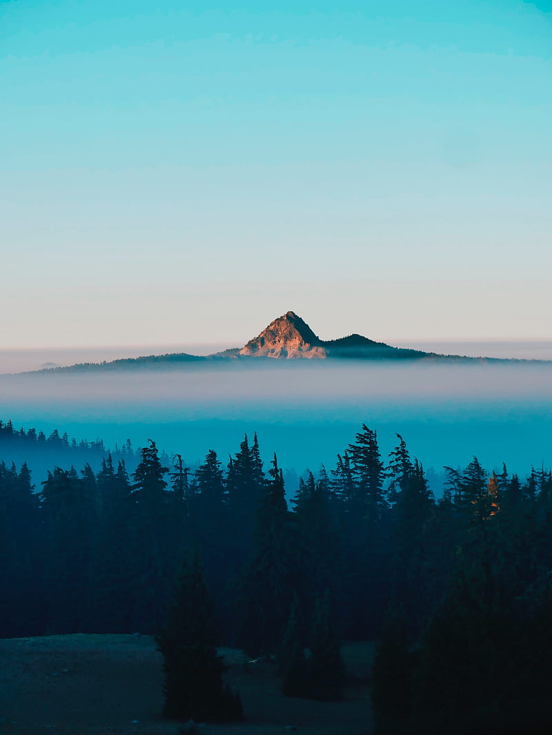 mountain, peak, fog, trees, landscape, HD phone wallpaper