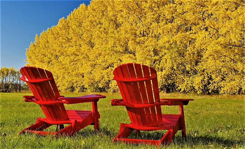 Serenity, red chairs, lawn, autumn, tranquility, HD wallpaper