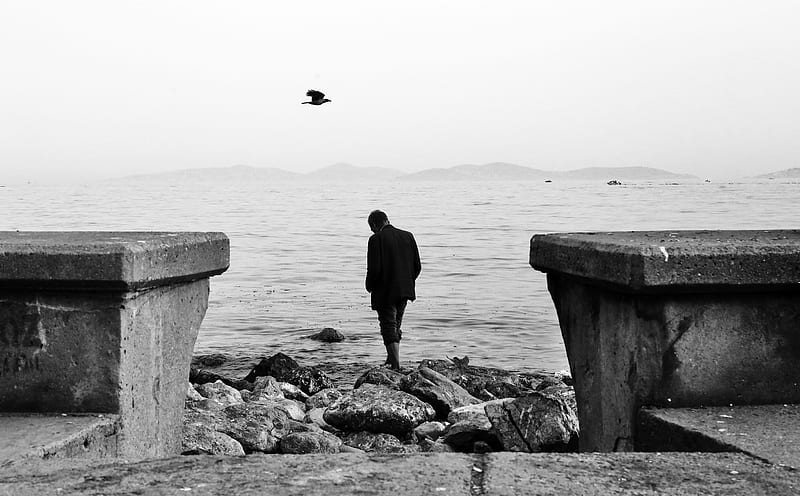 Man in Black Jacket Standing on Rock Near Sea, HD wallpaper