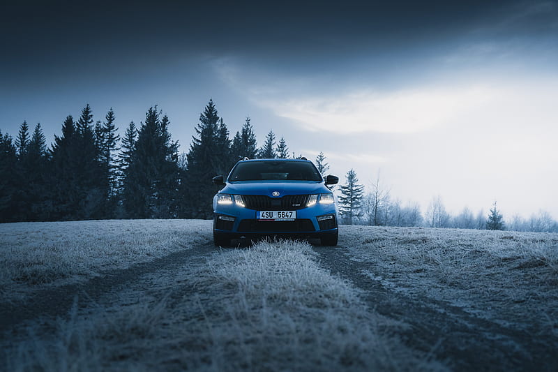 skoda, car, blue, road, forest, winter, HD wallpaper