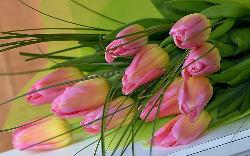 flowers, flora, tulips, HD wallpaper