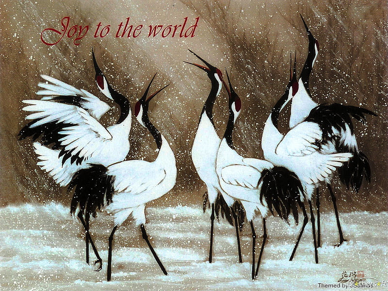 Birds Joy, long bird legs, birds, black, white, beaks, HD wallpaper