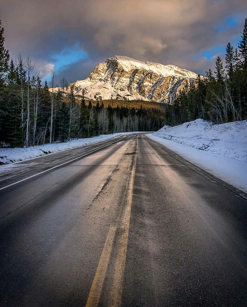 Roadtrip to Canada, colorful, forest, road, snow, HD phone wallpaper