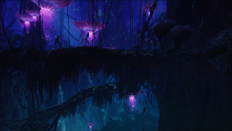 Avatar Movie Zoom, HD wallpaper