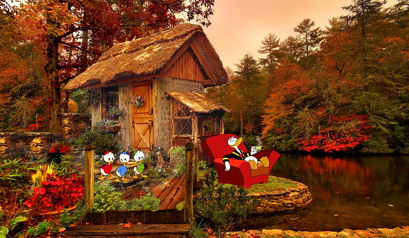 Relax guys, family, forest, vacation, autumn, house, little, time, relax, trees, small, lake, donald, duck, coffee, scene, kids, HD wallpaper
