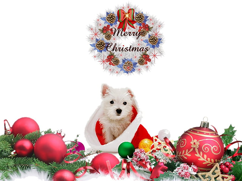White christmas puppy, ball, christmas, holiday, decoration, puppy, dog, HD wallpaper