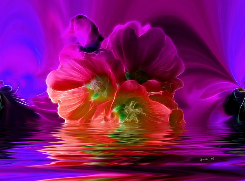 Mallow flower, flower, mallow, purple, fractal, HD wallpaper