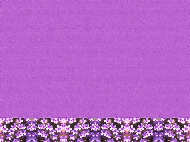 Down border, flower, border, patern, purple, HD wallpaper