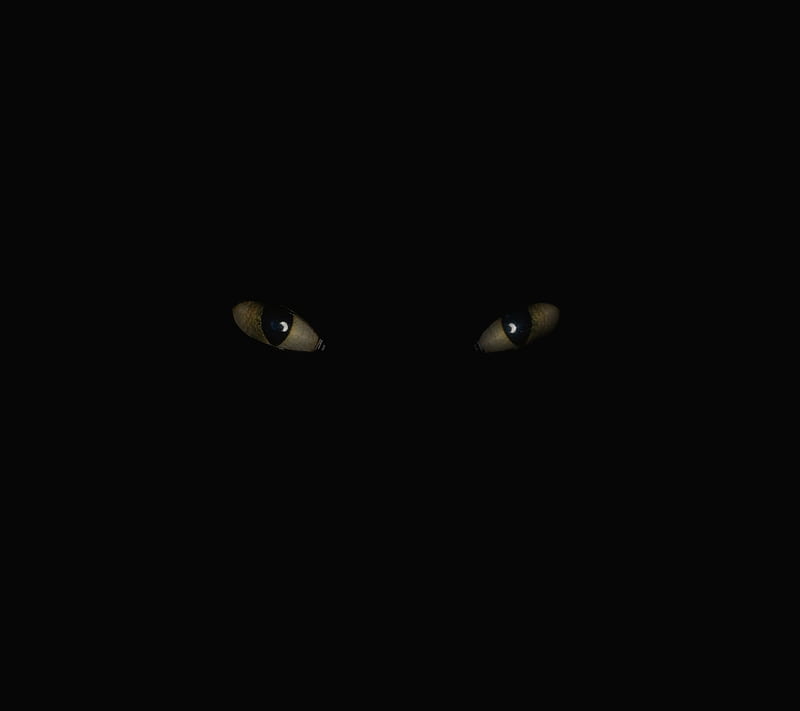 Eyes in the dark, HD wallpaper