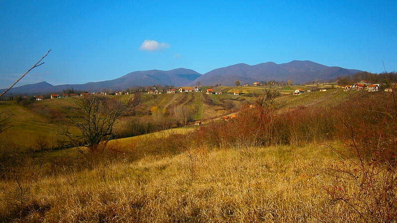 Autmn hills with mountain, hills, wonderful, grass, autmn, bonito, sky, hrvatsko zagorje, mountain, graphy, croatia, nice, beauty, nature, HD wallpaper