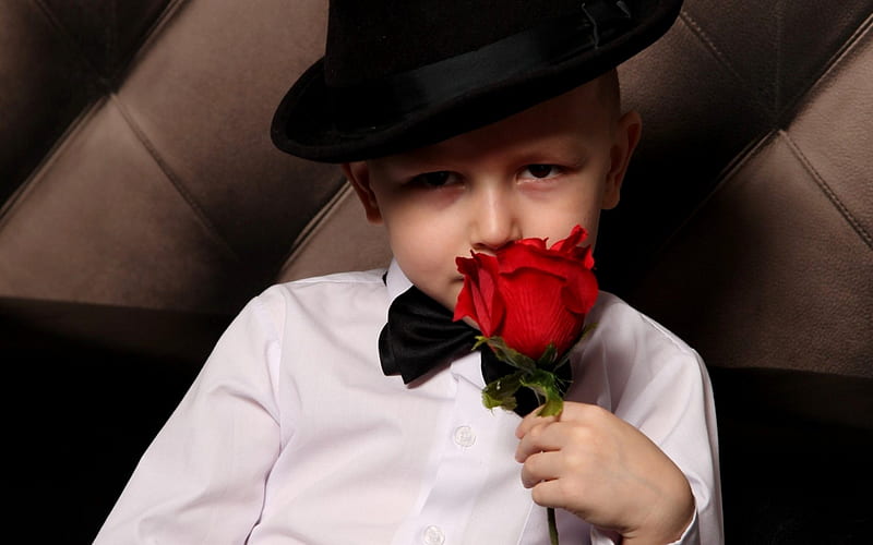 Little gentleman, red, boy, rose, HD wallpaper | Peakpx