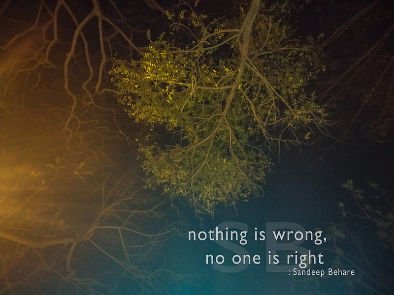Nothing is wrong, no one is right, thoughts, tree, thought, sandeep behare, quote, quotes, beharesandeep, nature, night, HD wallpaper