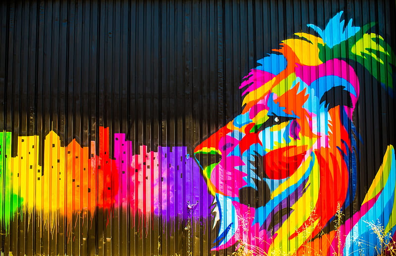 Lion Graffiti , lion, artist, artwork, digital-art, graffiti, HD wallpaper