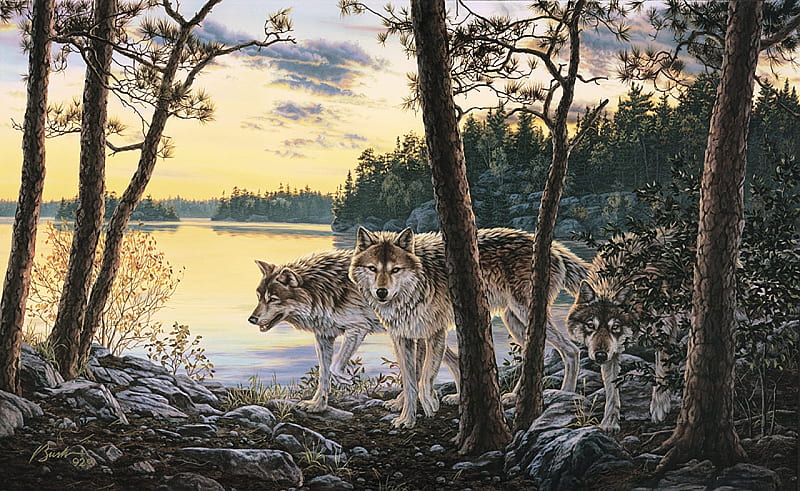 Twilight Encounter, lake, wolfpack, forest, painting, wolves, trees, artwork, HD wallpaper