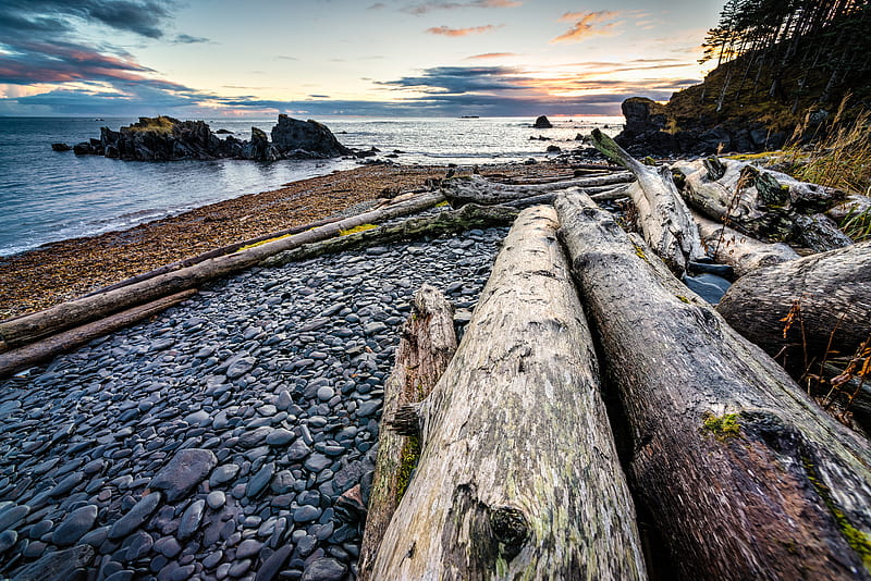 logs, coast, sunset, stones, HD wallpaper