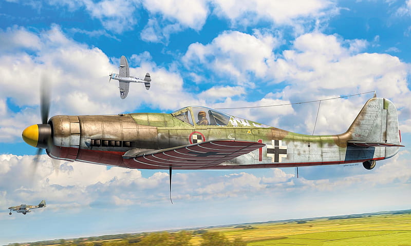 Military Aircraft, Focke-Wulf Fw 190, Luftwaffe , Warplane, HD wallpaper