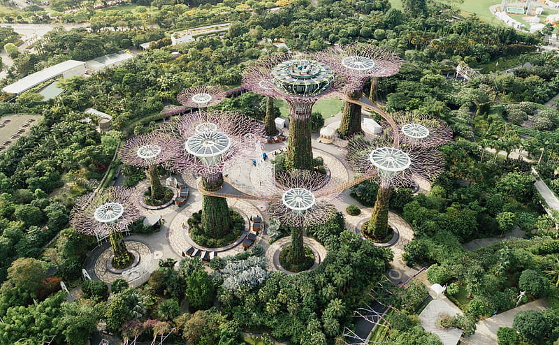 Supertrees, Gardens by the Bay, Singapore Eco... Ultra, Architecture, View, Travel, Nature, Green, Modern, background, graphy, Park, Aerial, Holiday, Gardens, Spectacular, Vacation, Drone, visit, tourism, fromabove, manmade, aesthetic, destinations, attractions, supertrees, ecofriendly, EnvironmentallyFriendly, NatureFriendly, EcoCity, HD wallpaper