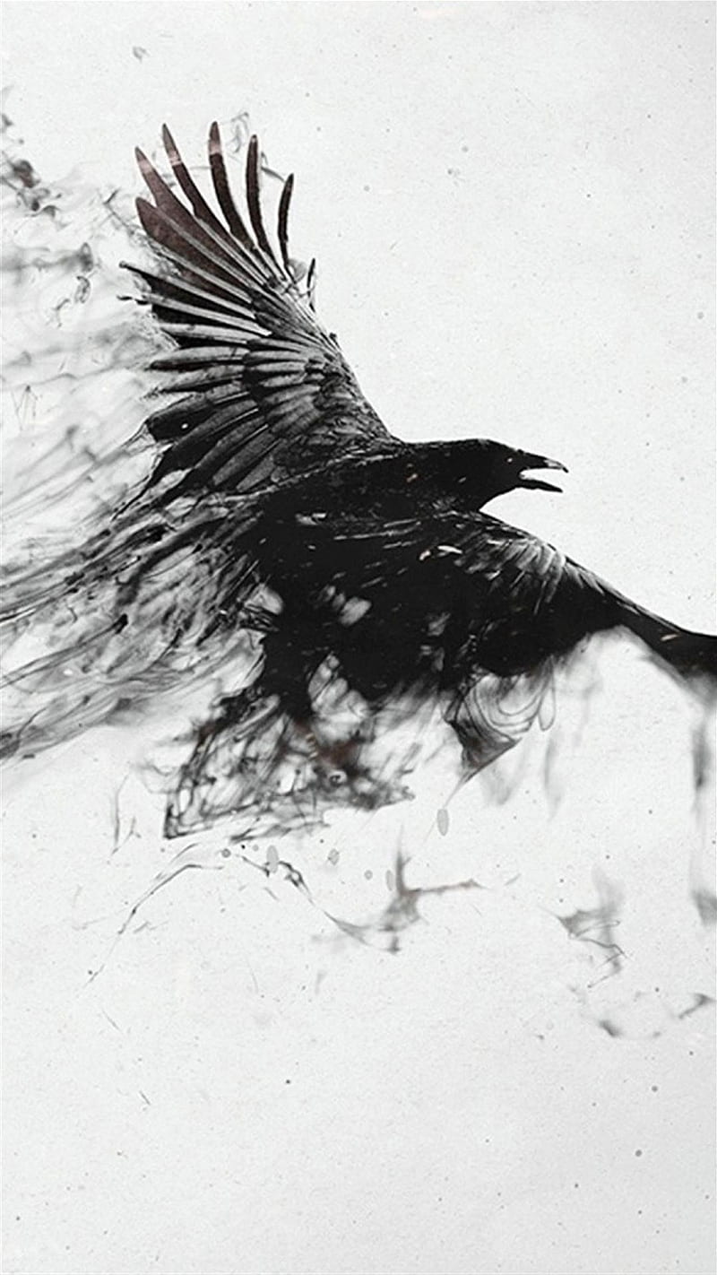 Eagle, black, wild, HD phone wallpaper