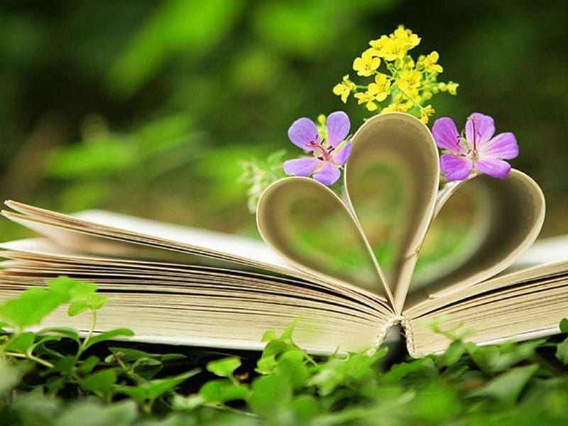 An Open Book, blossoms, flowers, nature, leaves, HD wallpaper