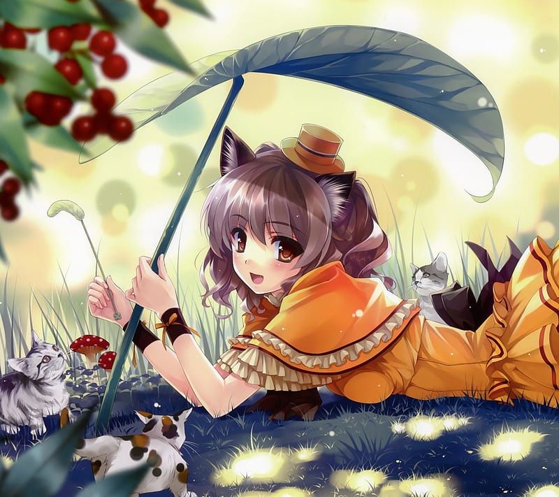 Anime Girl With Cats, anime, cats, girl, HD wallpaper