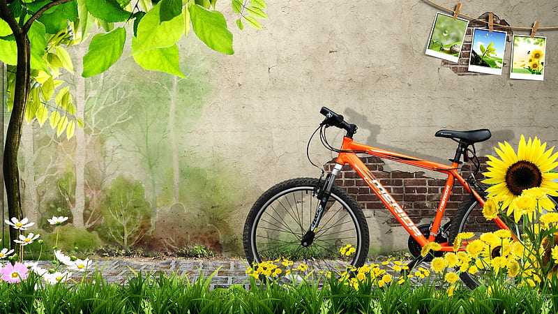 Spring Ride, grass, shade bicycle, spring, wall, tree, brick, summer, flowers, nature, bike, HD wallpaper