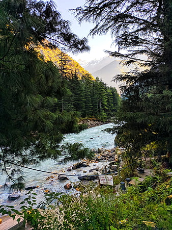 Kasol Himachal Pradesh India [OC] [2464x3286] #nature photography  #landscape pictures #nature pictures #nature images #scenery … | Scenery,  Beautiful nature, Nature