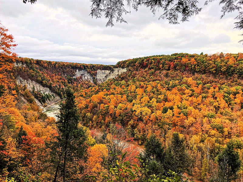Letchworth State Park, New York, mountains, fall, autumn, colors, clouds, sky, trees, HD wallpaper