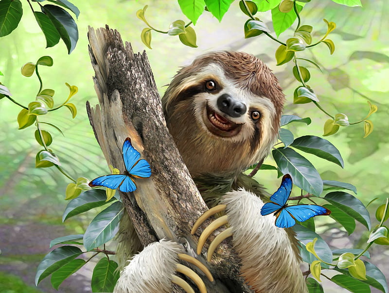 Sloth selfie, sloth, luminos, selfie, animal, fantasy, butterfly, green, summer, funny, blue, HD wallpaper