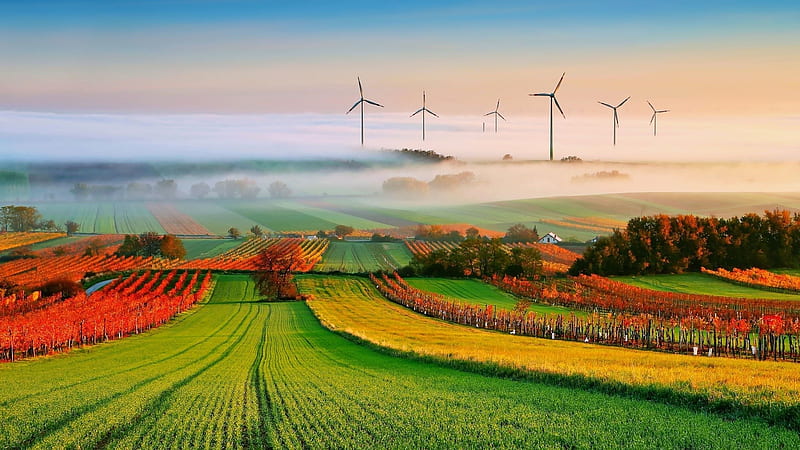 turbines among fields and vineyards in fog, vineyards, turbines, colors, fields, fog, HD wallpaper