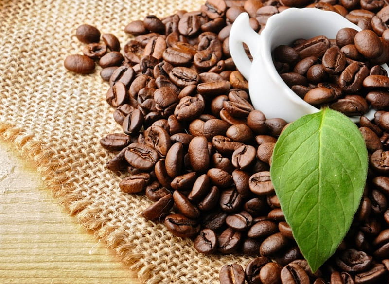 Coffee, aromatic, leave, cup, drink, petal, coffee beans, sweet, HD wallpaper