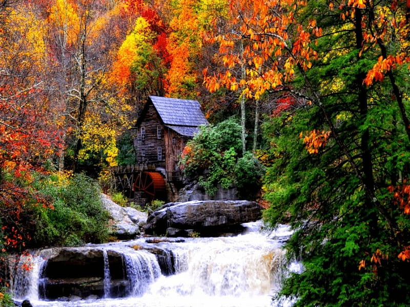 Old mill in Autumn, forest, stream, fall leaves, autumn, nature, old mill, HD wallpaper