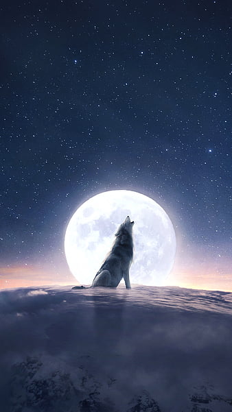 Moon Night Sky Wallpapers - Top Free Moon Night Sky Backgrounds -  WallpaperAccess