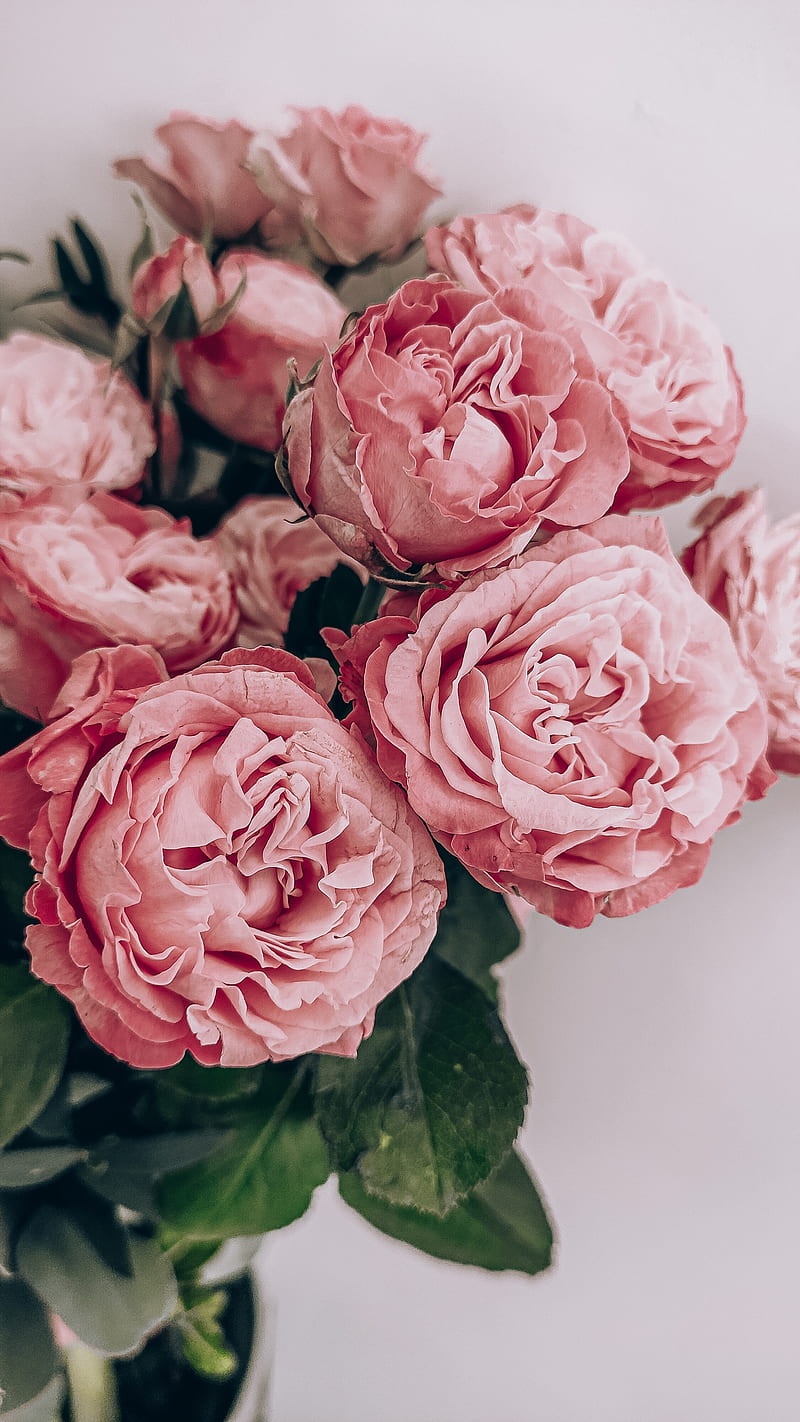 roses, flowers, bouquet, pink, composition, HD phone wallpaper