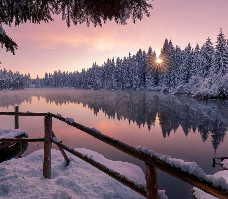 Magic winter, winter, lake, fence, colorful, sun, colors, magic, bonito, trees, deep, pink, like, HD wallpaper