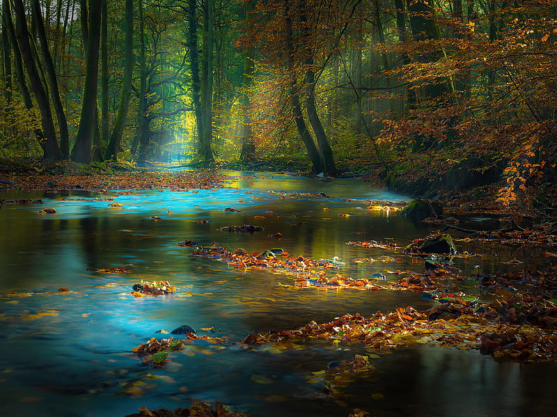 River Sunbeam Autumn , river, nature, autumn, HD wallpaper