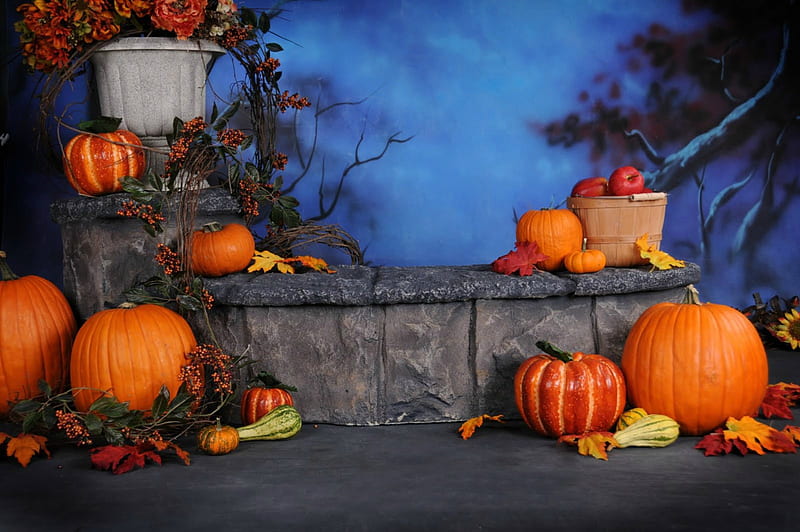 Autumn Display, Fall, apples, sunflower, trees, gourds, bushel basket, leaves, berries, basket, flowers, vines, flower pot, display, Autumn, pumpkins, HD wallpaper