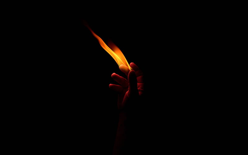fire in hand, flame, black background, hand, fire, HD wallpaper