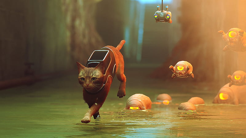 Stray Teases Clever Cat Gameplay in a Beautiful World, HD wallpaper