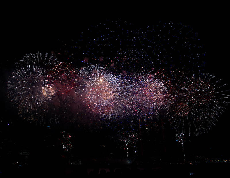fireworks display at night, HD wallpaper