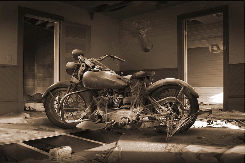 Forgotten Harley, graph, sepia, motorbike, harley, vintage, HD wallpaper