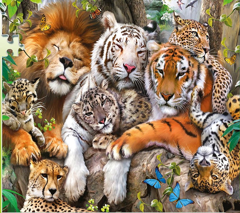 Wild Animals, animals, wild, HD wallpaper | Peakpx