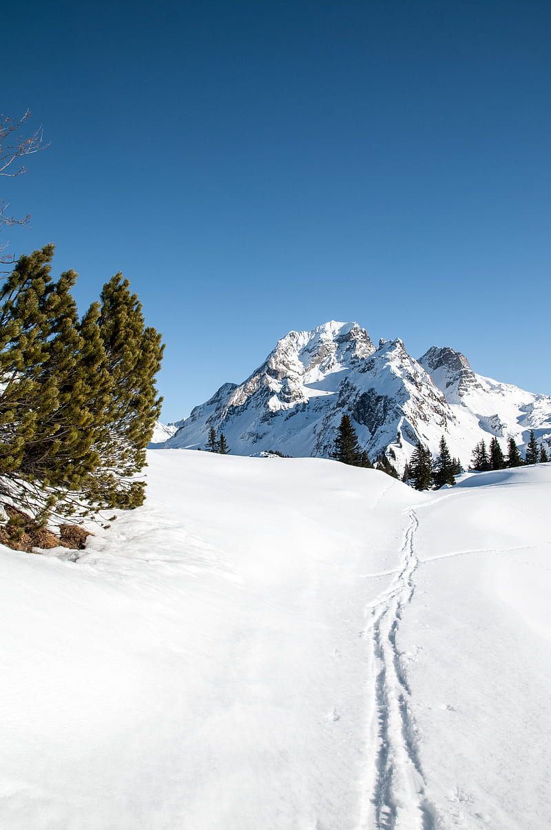 mountain, snow, traces, path, winter, landscape, HD phone wallpaper