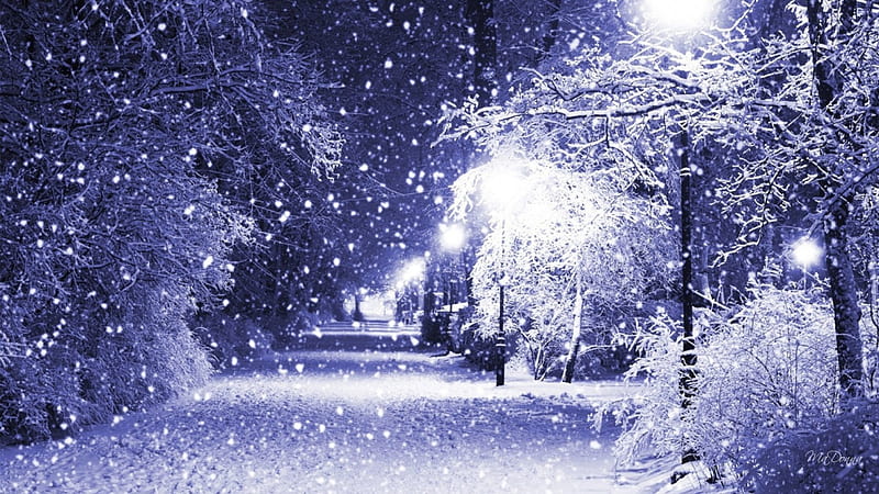 Winter Lights, glow, trees, lights, winter, sparkle, light posts, snowing, snow, path, trail, walk, lane, HD wallpaper