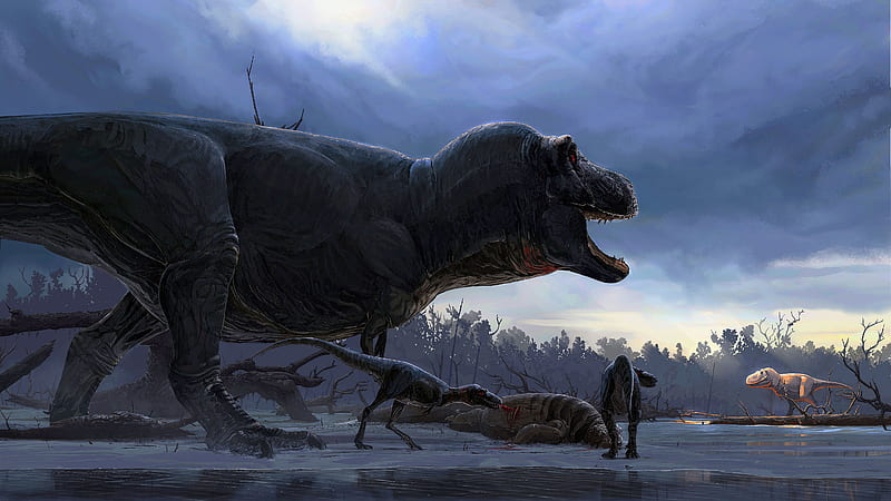 Dinosaur Tyrannosaurus Rex, HD wallpaper