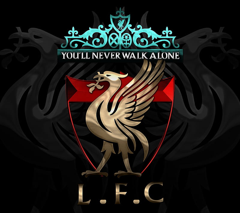 Liverpool FC YNWA, anfield, bird, england, epl, liver, reds, warrior, HD wallpaper